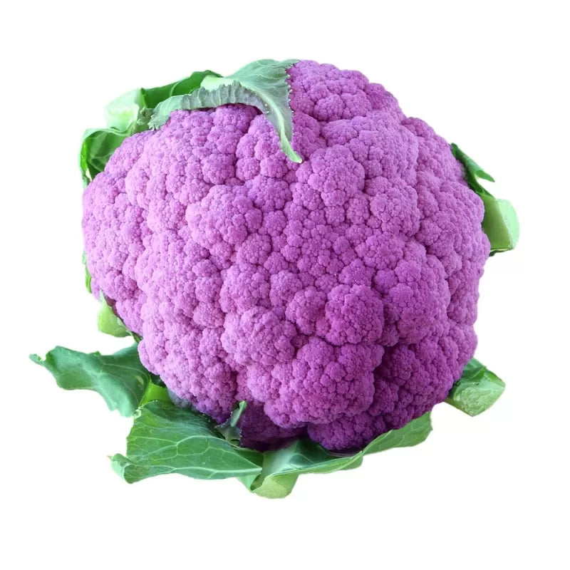 CAVOLFIORE VIOLETTO