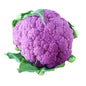CAVOLFIORE VIOLETTO